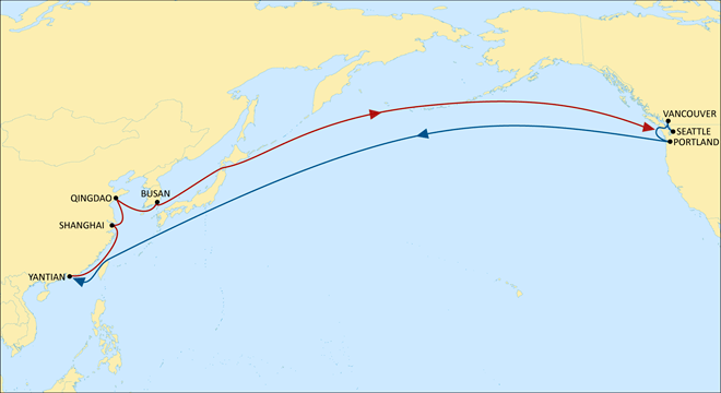 MSC升級美西北航線，青島直達(dá)西雅圖只需11天！