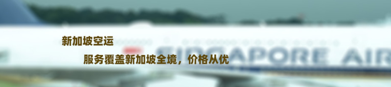 新加坡海運(yùn)專線 新加坡空運(yùn)價(jià)格 新加坡快遞查詢 新加坡海空鐵多式聯(lián)運(yùn)國(guó)際貨運(yùn)代理