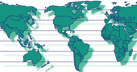 CSCL中海集運 中國海運集裝箱運輸有限公司 CSCL船公司船期查詢貨物追蹤  CHINA SHIPPING CONTAINER LINES CO.,LTD